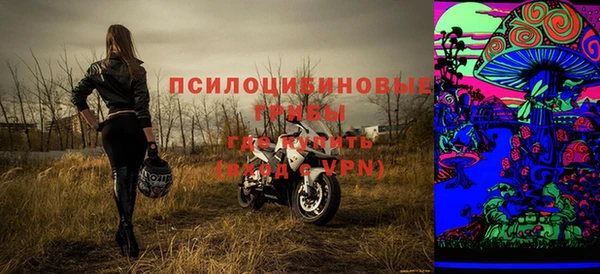 молекула духа Белокуриха