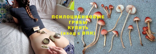 ECSTASY Белоозёрский