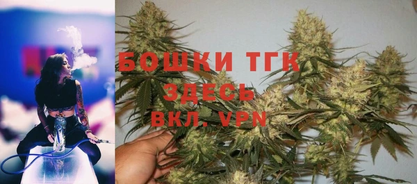 молекула духа Белокуриха