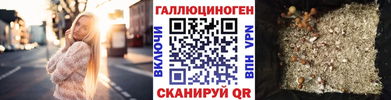 Псилоцибиновые грибы GOLDEN TEACHER Городище